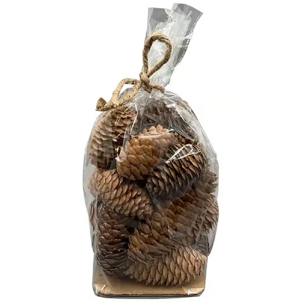 Dekoobjekt Exner Zapfen „Aride“ – Natur, 21-teilig